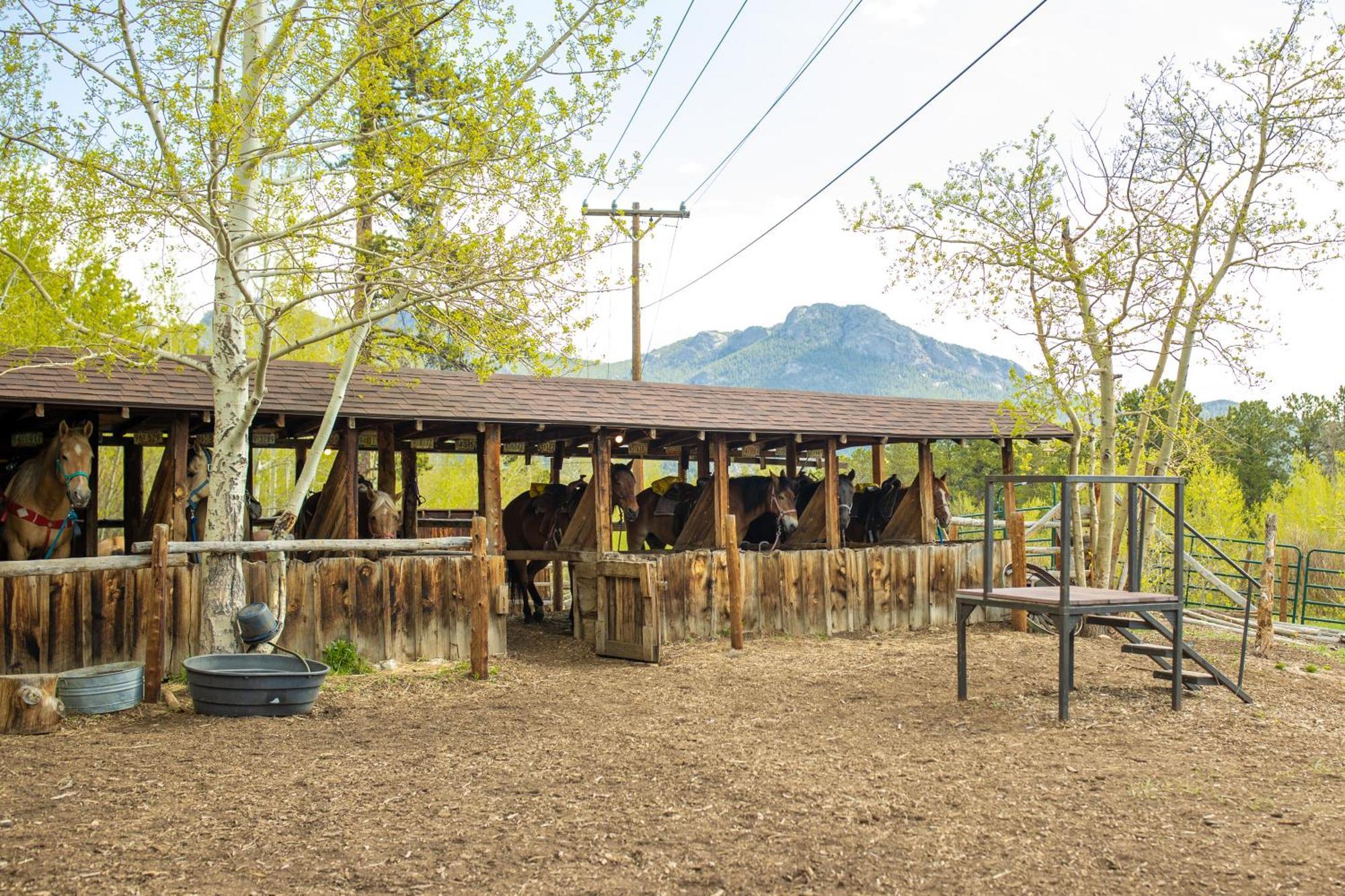 The Meeker Park Lodge Allenspark Bagian luar foto