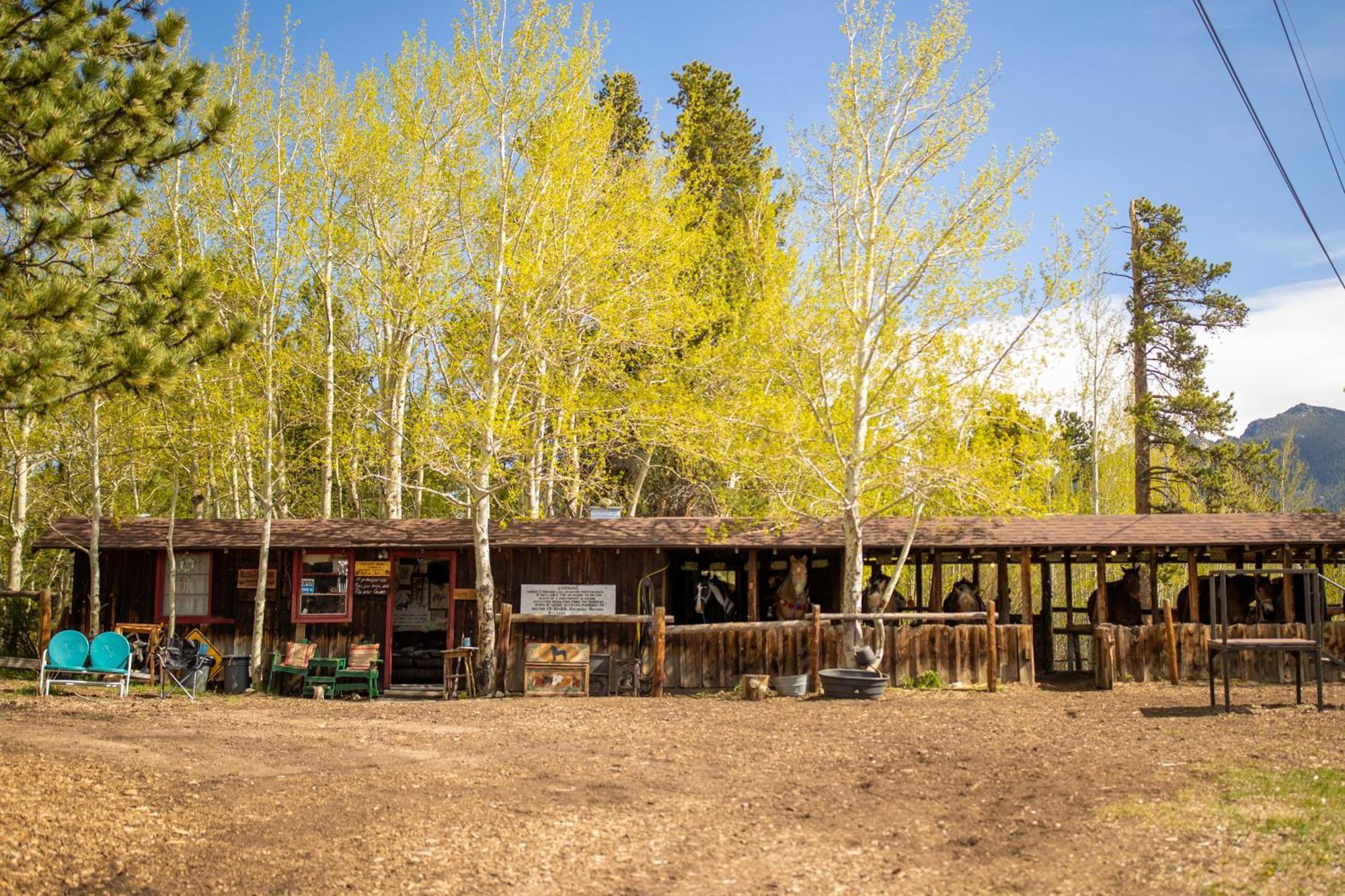 The Meeker Park Lodge Allenspark Bagian luar foto