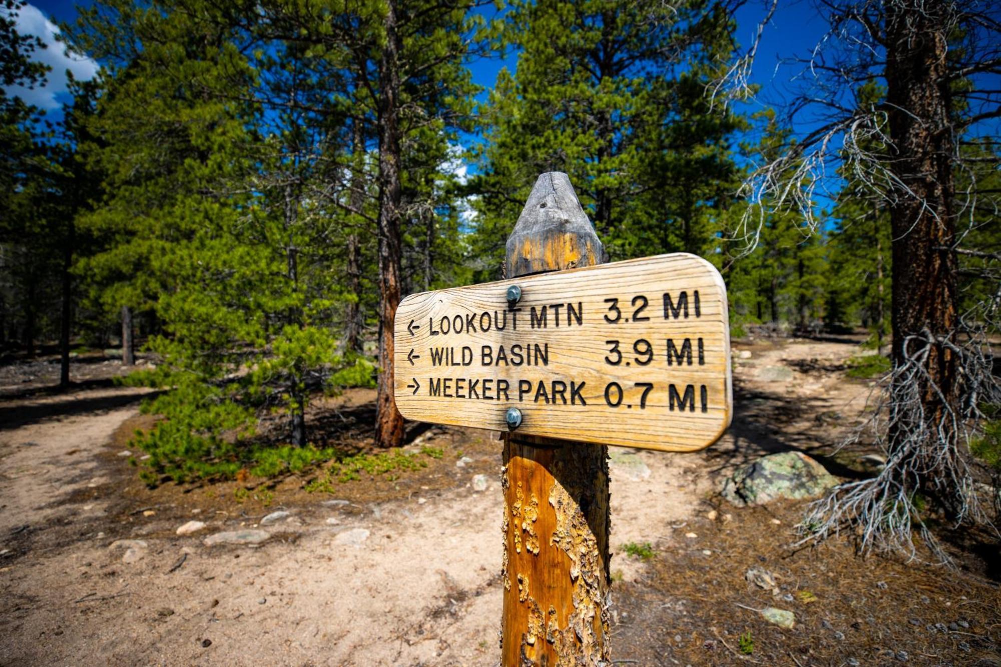 The Meeker Park Lodge Allenspark Bagian luar foto