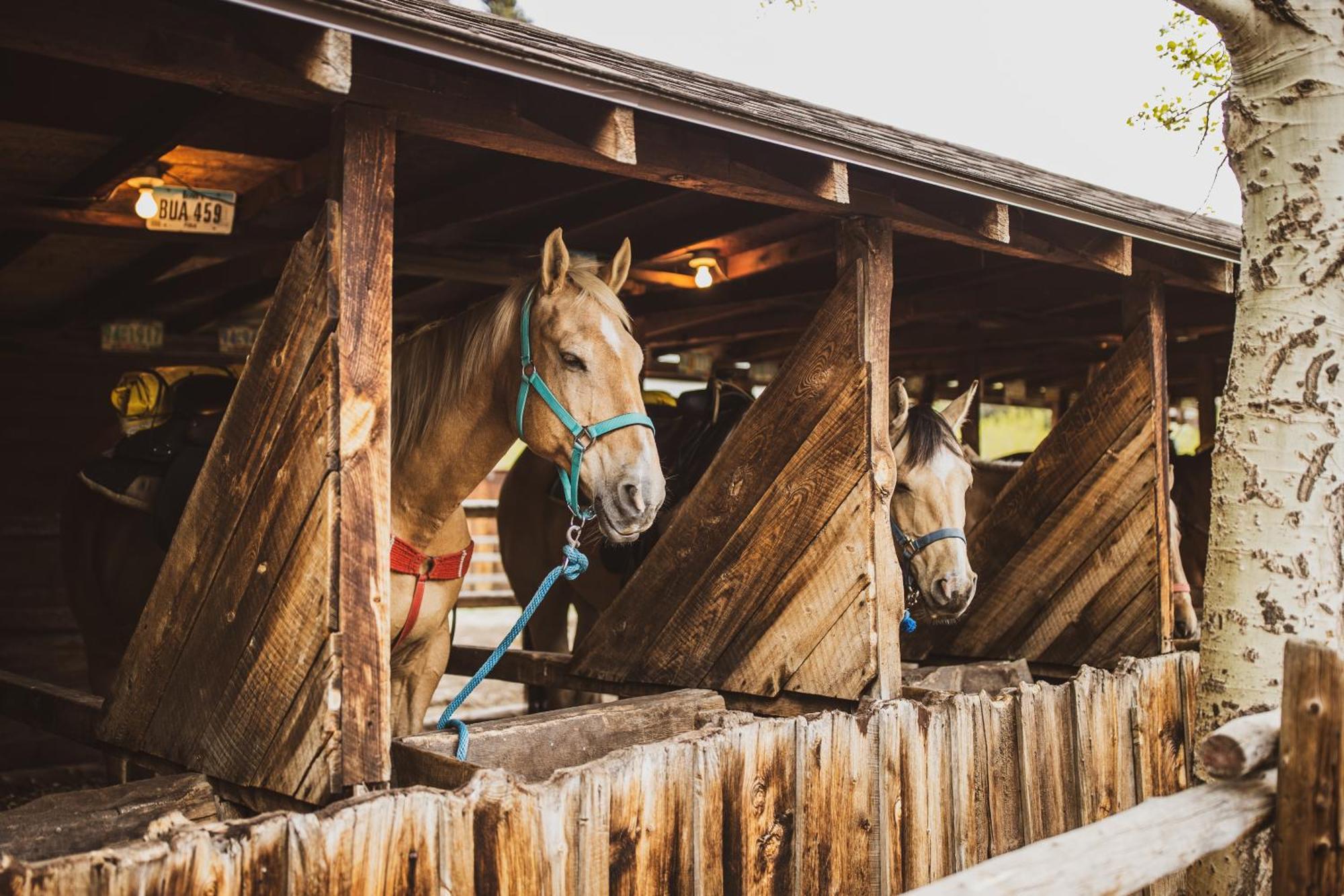 The Meeker Park Lodge Allenspark Bagian luar foto