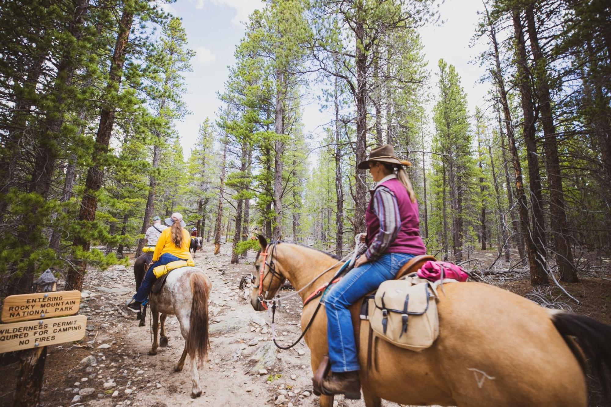 The Meeker Park Lodge Allenspark Bagian luar foto