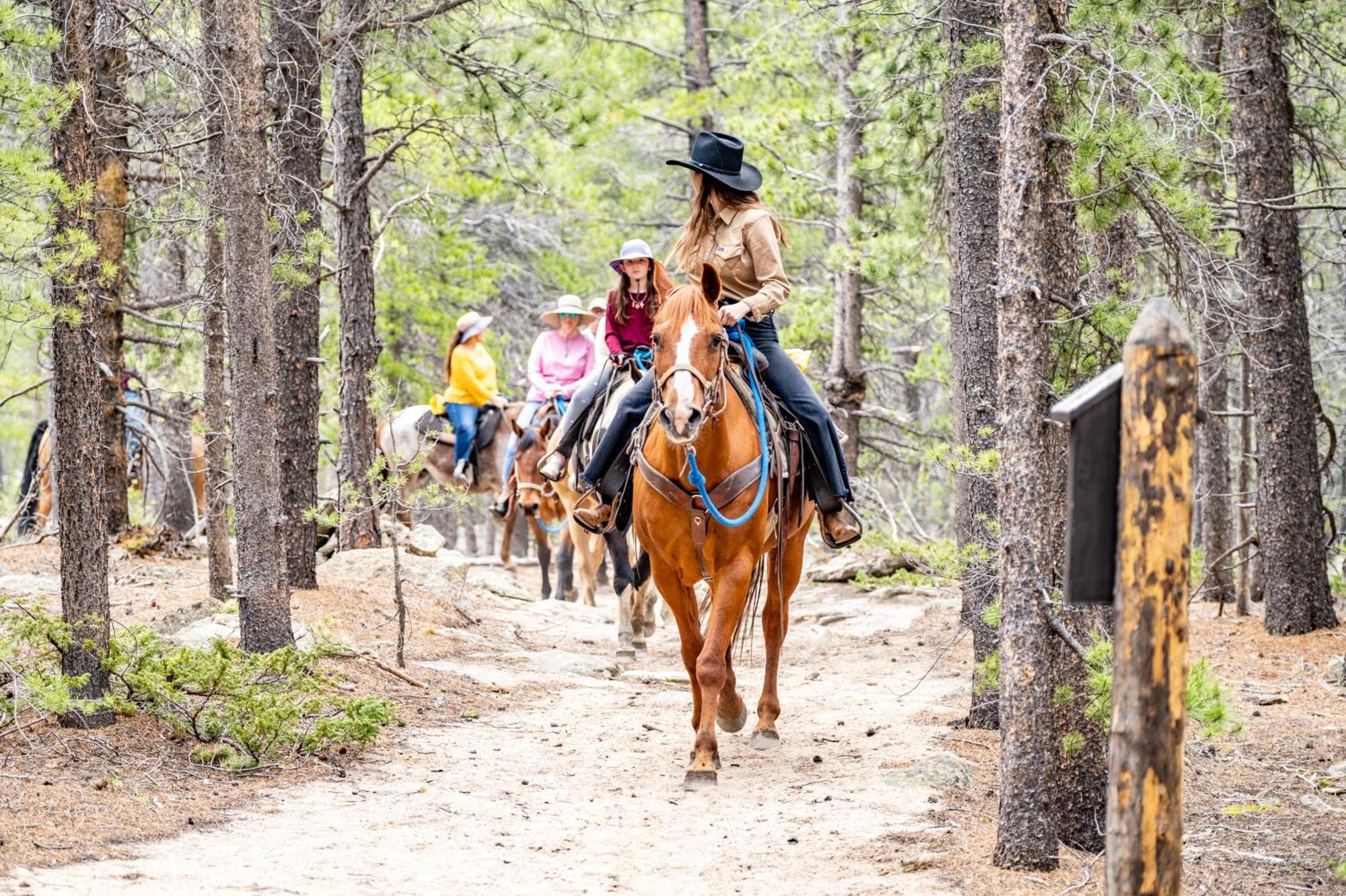 The Meeker Park Lodge Allenspark Bagian luar foto